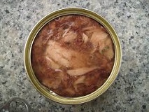 <b>Best Cat Food</b> for the Health of Your Pet